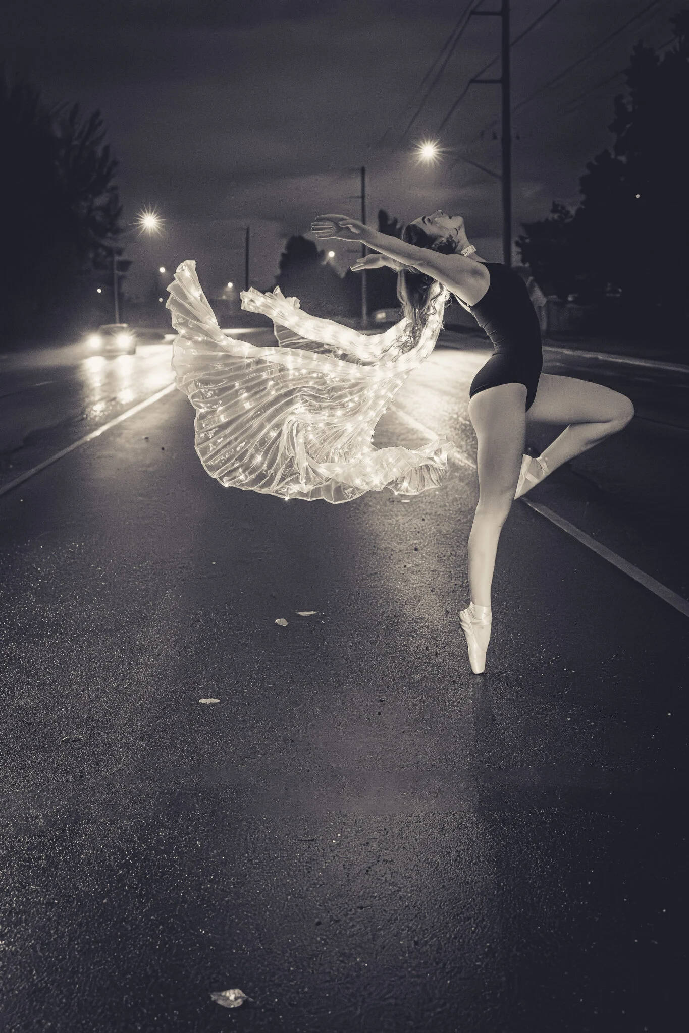 Rhythmic Reflections