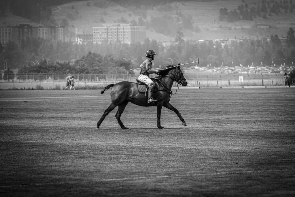 Energy In Motion — photograph 71